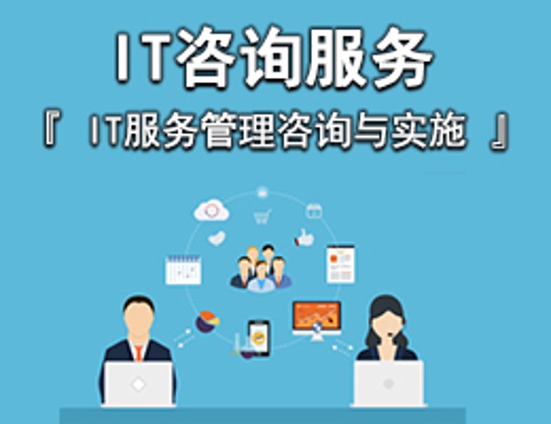 信息技术公司在上海的创新与挑战